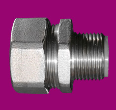 F-Series Stainless Steel (316) Fixed Fittings